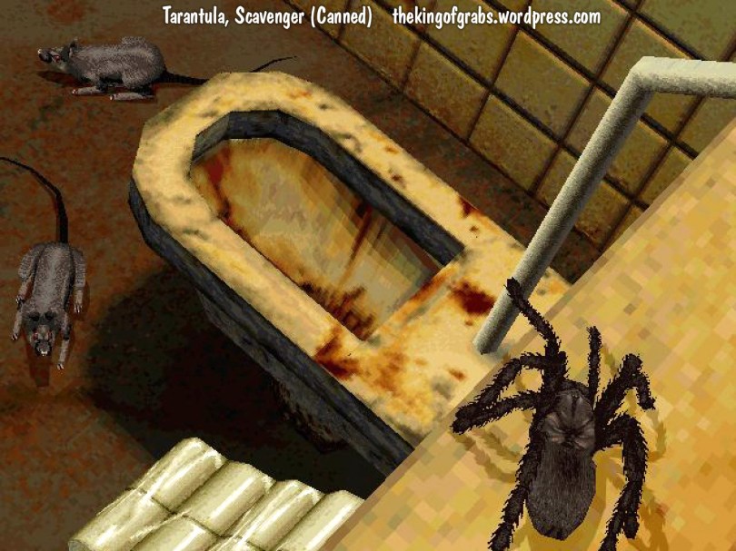 Tarantula - canned Scavenger game